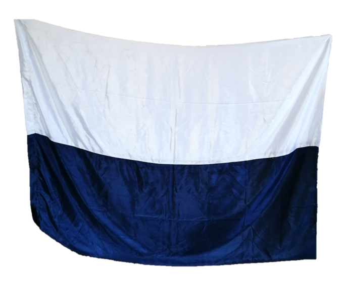 Bandera Ernesto parodi medina